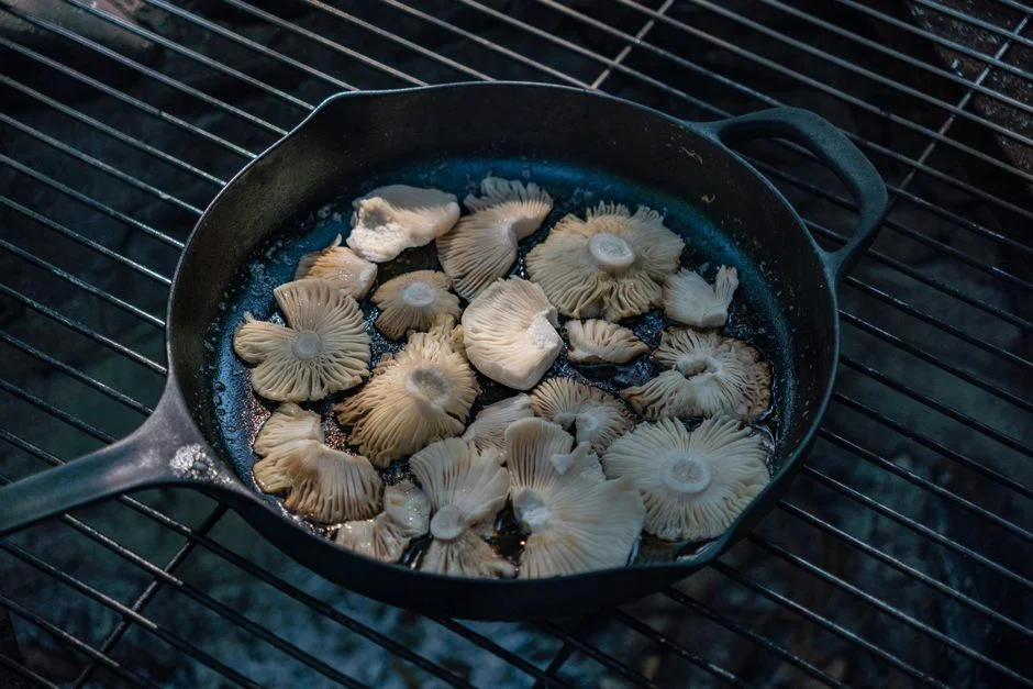 GreenPan vs HexClad: Hybrid Nonstick Cookware Compared